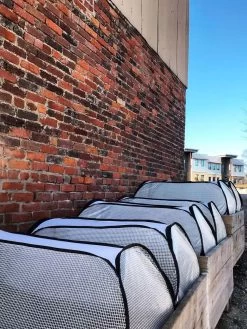 Row Shelter Accelerator -Garden Sales 8591990 01IN tif