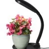 Agrobrite Desktop Plant Light 2 Agrobrite Desktop Plant Light -Garden Sales 8592052 1704z hydrofarm cfl grow light flexible neck adjustable height