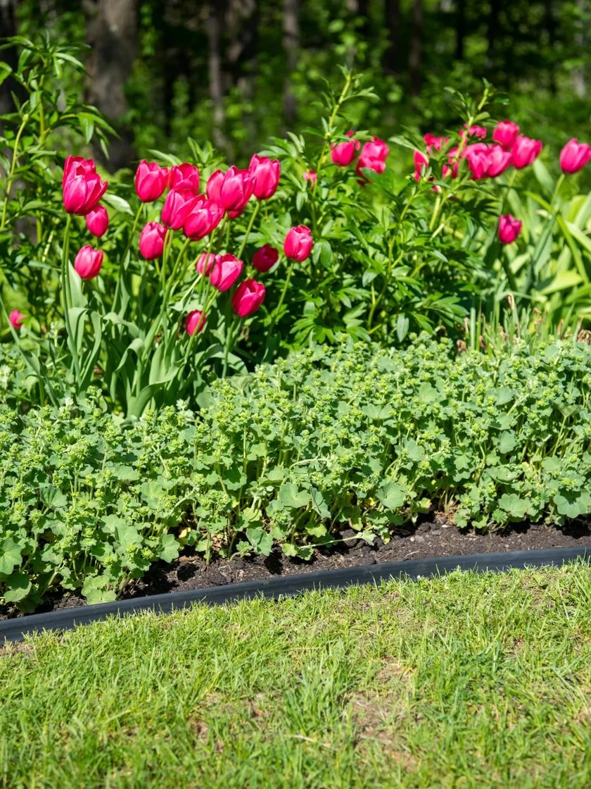 EasyFlex™ No Dig Edging, 50' 4 EasyFlex™ No Dig Edging, 50' - Image 2