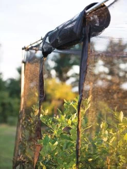 Storm Proof Crop Cage, Large 14 Storm Proof Crop Cage, Large -Garden Sales 8592463 115 tif