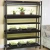 High Intensity 3-Tier SunLite® Garden -Garden Sales 8593944 1773 3 tier high intensity grow lights tif