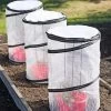 Tomato TLC Kits, Set Of 3 1 Tomato TLC Kits, Set Of 3 -Garden Sales 8594214 0183 tif