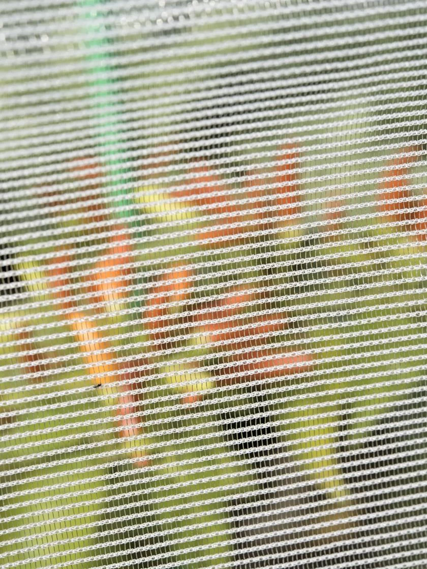 Bug Out Garden Insect Screen, 6-1/2' X 20' 3 Bug Out Garden Insect Screen, 6-1/2' X 20' - Image 2