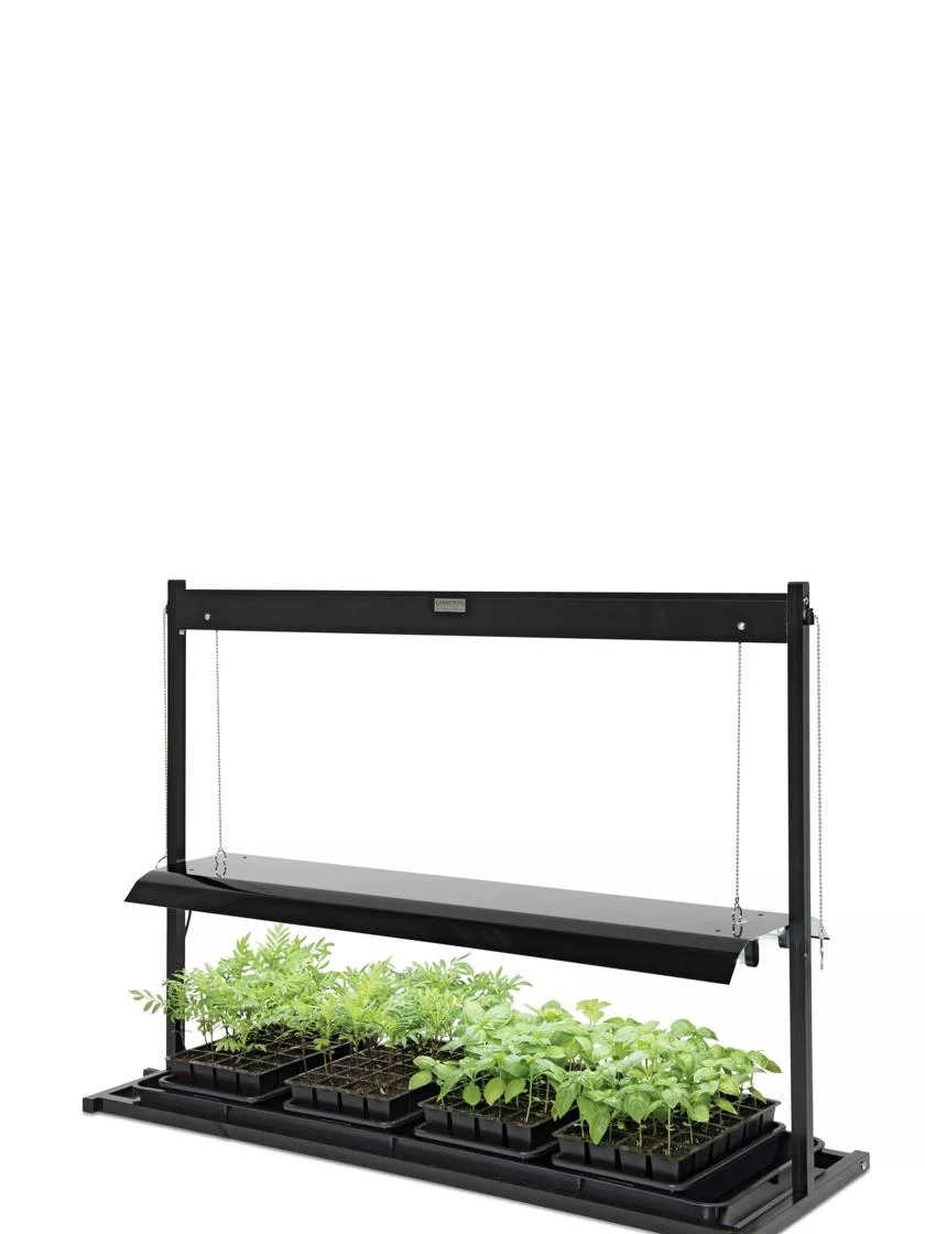 LED SunLite® Tabletop Garden 5 LED SunLite® Tabletop Garden - Image 3