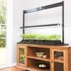 LED SunLite® Tabletop Garden 2 LED SunLite® Tabletop Garden -Garden Sales 8595552 3136 led grow lights sunlite tabletop garden tif