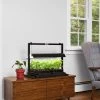 LED SunLite® Compact Tabletop Garden 1 LED SunLite® Compact Tabletop Garden -Garden Sales 8595555 101 small led grow lights sunlite compact tabletop garden tif