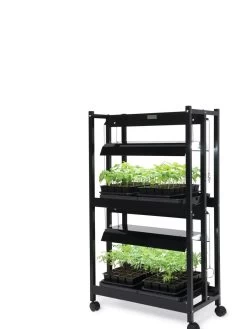 LED SunLite® Compact 2-Tier Garden 12 LED SunLite® Compact 2-Tier Garden -Garden Sales 8595556 10132 tif