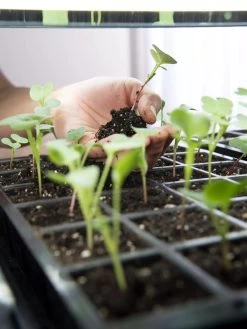 LED Stack-n-Grow Lights - Base Unit -Garden Sales 8595770 7373 tif