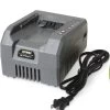 58V Battery Charger