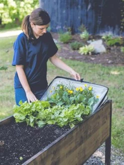 Pop-Up Crop Protector 9 Pop-Up Crop Protector -Garden Sales 8596763 EasyCropProtector gif