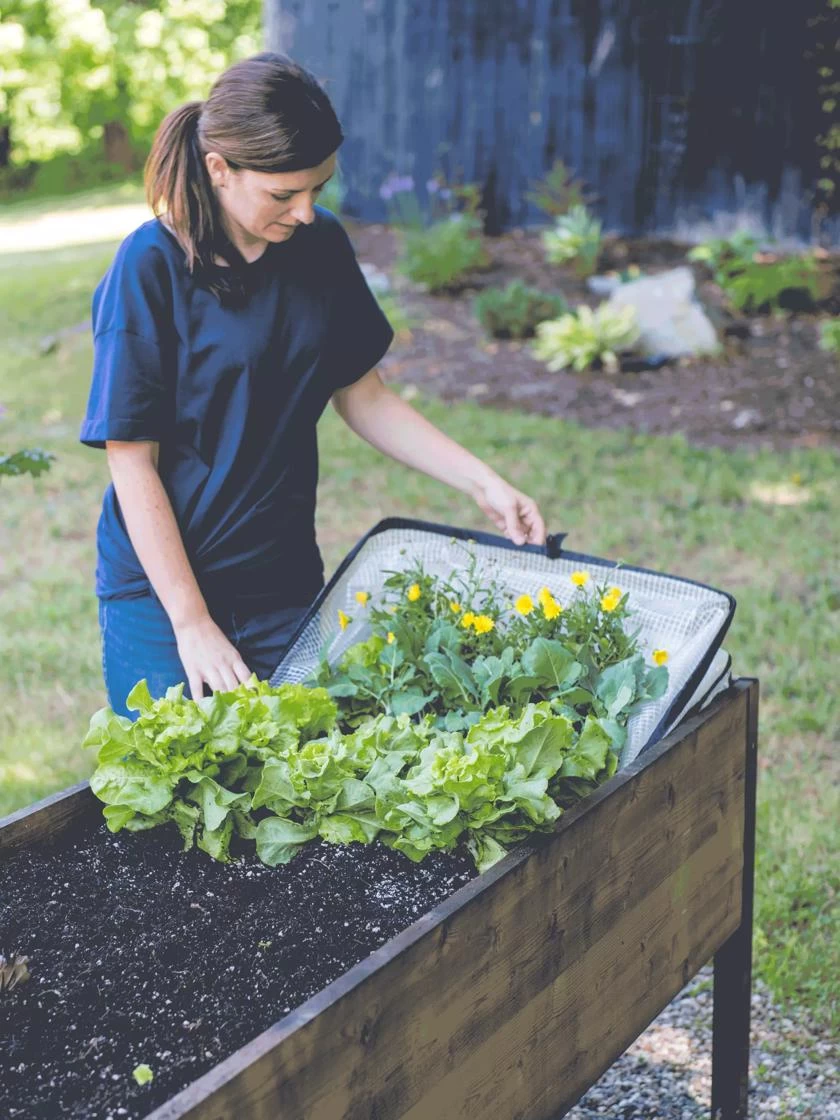 Pop-Up Crop Protector 6 Pop-Up Crop Protector - Image 4