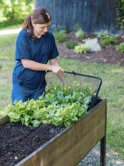 Pop-Up Bird Netting -Garden Sales 8596764 PopUpBirdNetting gif