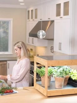 Low Bamboo LED Grow Light Garden -Garden Sales 8597720 0816 tif