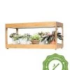 Low Bamboo LED Grow Light Garden 2 Low Bamboo LED Grow Light Garden -Garden Sales 8597720 10i