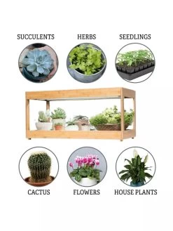 Low Bamboo LED Grow Light Garden -Garden Sales 8597720 3