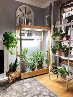 Tall Bamboo LED Grow Light Garden 14 Tall Bamboo LED Grow Light Garden -Garden Sales 8597884 01IN tif