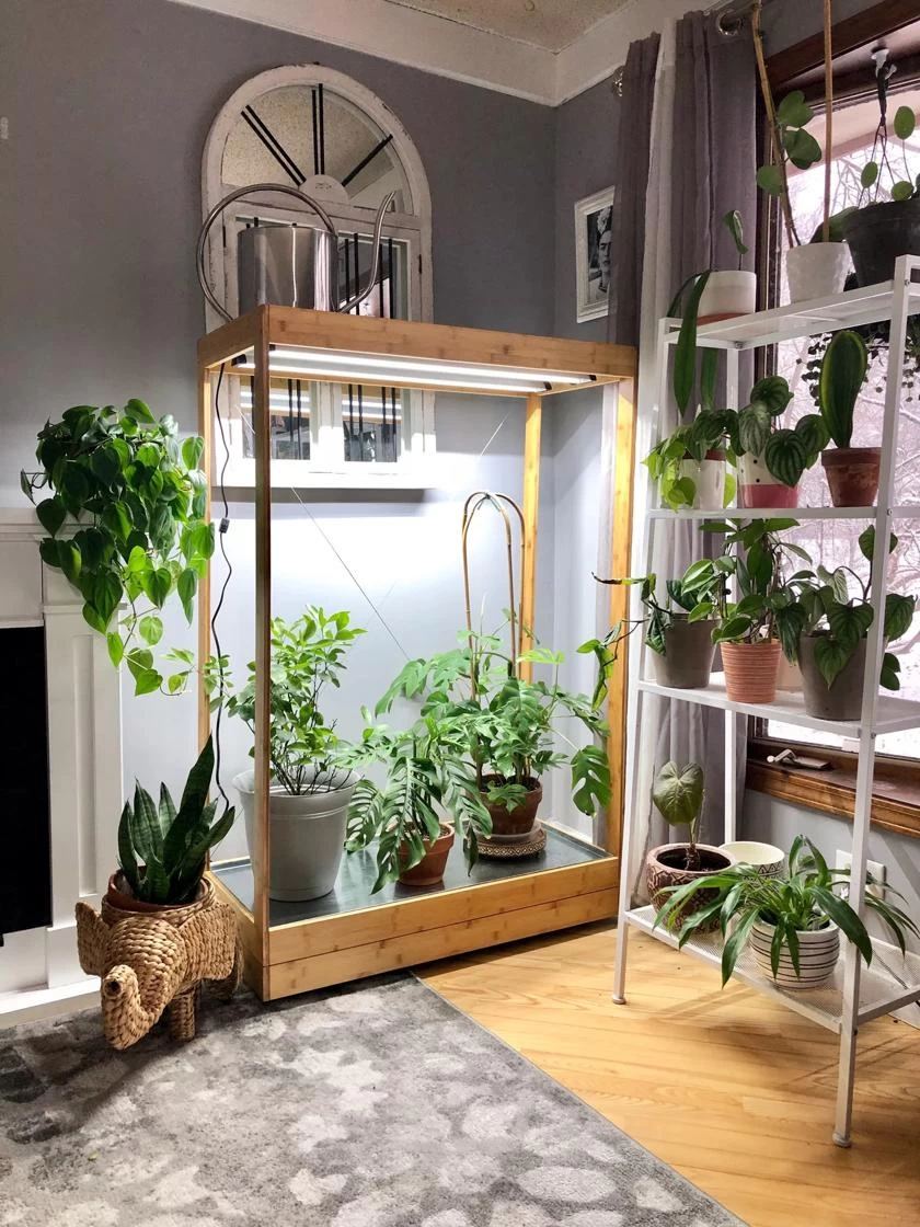 Tall Bamboo LED Grow Light Garden 6 Tall Bamboo LED Grow Light Garden - Image 4