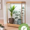 Tall Bamboo LED Grow Light Garden 2 Tall Bamboo LED Grow Light Garden -Garden Sales 8597884 3i