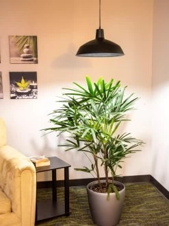 Barnyard Pendant LED Grow Light 7 Barnyard Pendant LED Grow Light -Garden Sales 8598025 0256