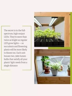 Bamboo LED Grow Light Garden For Succulents And Seeds -Garden Sales 8598084 7