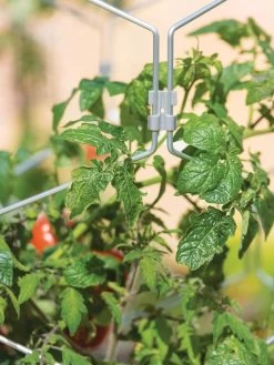 Gardener's Vertex Lifetime Tomato Cage -Garden Sales 8598426 0011 tif