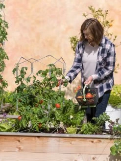 Gardener's Vertex Lifetime Tomato Cage -Garden Sales 8598426 0026 tif