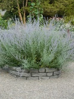 Rock Lock Interlocking Garden System, Curved Sets -Garden Sales 8598737 04V tif