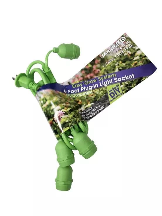 Miracle LED 4-Socket String Light 3 Miracle LED 4-Socket String Light