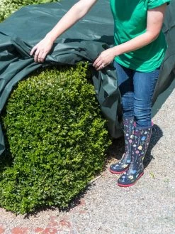 The Planket® Frost Protection Plant Cover, 10' X 20' -Garden Sales 8599101 0929 tif