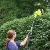 Sun Joe® Electric Telescoping Pole Hedge Trimmer, 4 Amp -Garden Sales 8599169 01v sun joe electric telescoping pole hedge trimmer