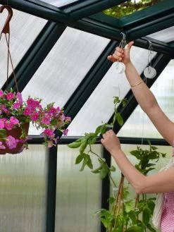 Canopia® By Palram Hobby Gardener Greenhouse, 8' -Garden Sales 8599331 04V tif