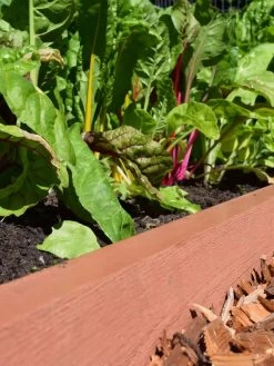 Straight Landscape Edging Kit With 2" Boards 8 Straight Landscape Edging Kit With 2" Boards -Garden Sales 8599408 02V tif