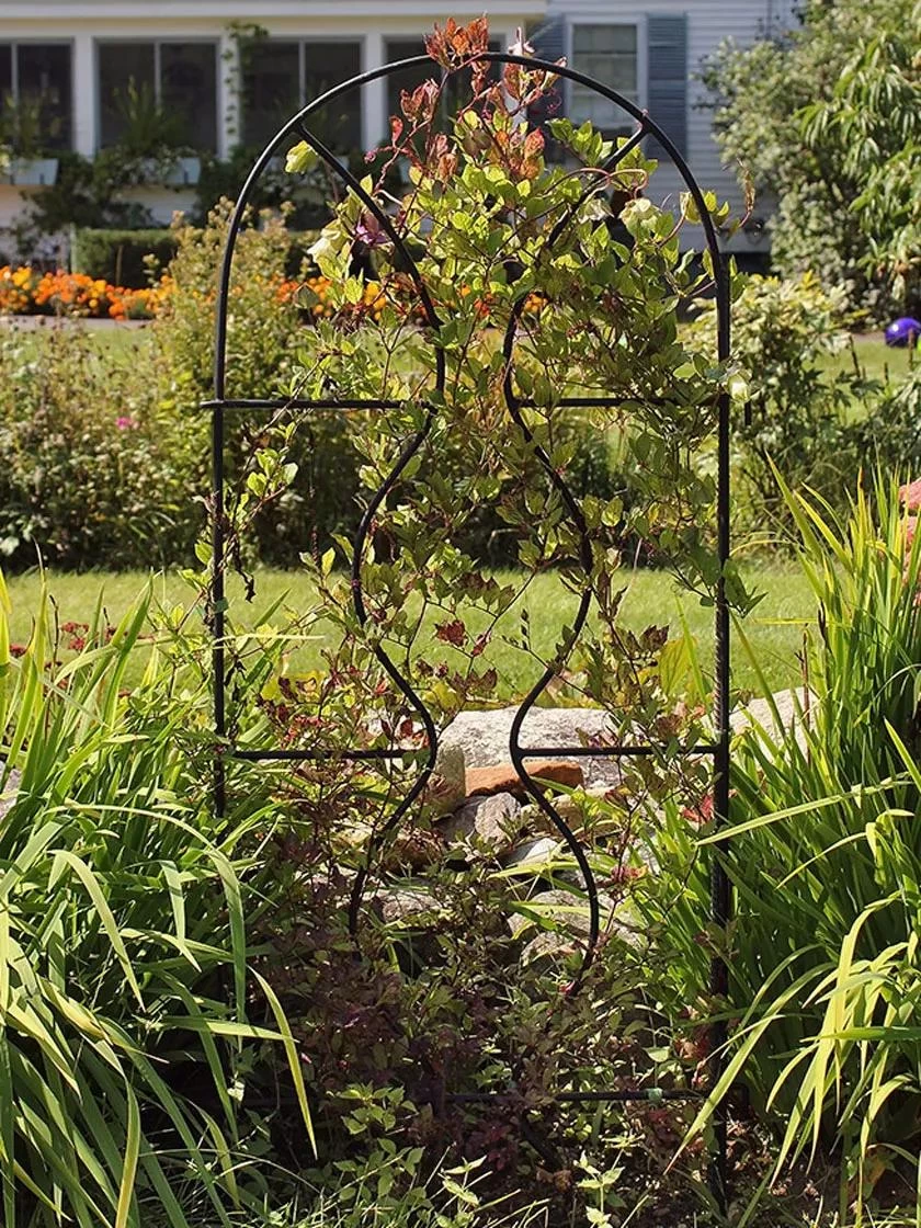 Achla Designs Orangery Trellis 3 Achla Designs Orangery Trellis