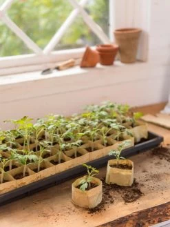 Paper Pots, 50 Cell -Garden Sales 8599830 0502 paper pots 50 cell tif