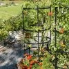Titan Tomato Cages, Set Of 3 2 Titan Tomato Cages, Set Of 3 -Garden Sales 8599861 0049 tif