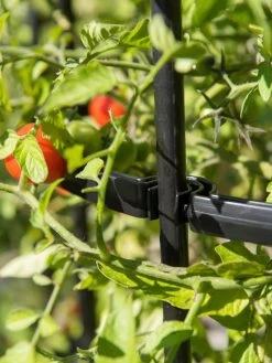 Titan Tomato Cages, Set Of 3 15 Titan Tomato Cages, Set Of 3 -Garden Sales 8599861 0079 tif