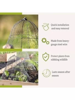 Chicken Wire Cloche With Extension -Garden Sales 8600116 3