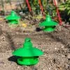 Slug And Snail Traps, Set Of 3 -Garden Sales 8600120 1784 slug and snail traps set of 3