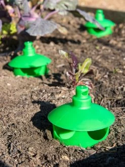 Slug And Snail Traps, Set Of 3 -Garden Sales 8600120 1788