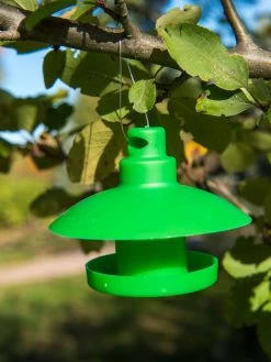 Slug And Snail Traps, Set Of 3 -Garden Sales 8600120 1792