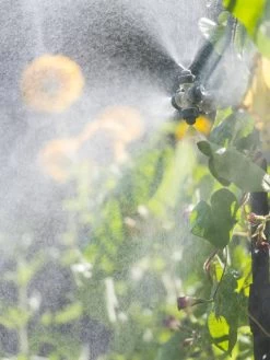 Landscape 4-Way Cooling Mist Kit, 50' -Garden Sales 8600154 0695 tif