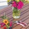 Gardener's Floral Pruning Bypass Shears -Garden Sales 8600299 19581 tif