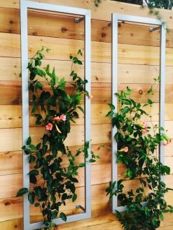 Ina Modern Wall Trellis Sr. 16 Ina Modern Wall Trellis Sr. -Garden Sales 8600510 06V tif