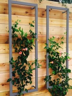 Ina Modern Wall Trellis Sr. 12 Ina Modern Wall Trellis Sr. -Garden Sales 8600510 08V jpg