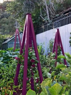 Akoris Garden Tuteur Jr. 15 Akoris Garden Tuteur Jr. -Garden Sales 8600517 01V akoris garden tuteur tif 1