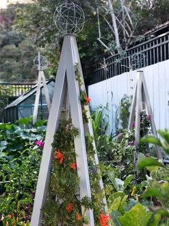 Akoris Garden Tuteur Jr. 14 Akoris Garden Tuteur Jr. -Garden Sales 8600517 07V tif