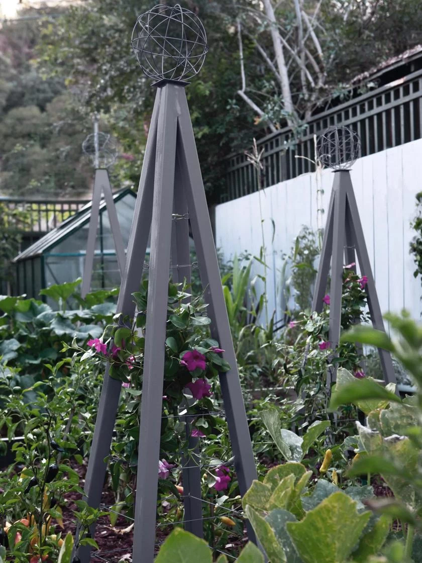 Akoris Garden Tuteur Jr. 4 Akoris Garden Tuteur Jr. - Image 2