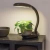 Agrobrite Desktop LED Plant Lamp -Garden Sales 8608871 0345 tif