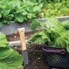 Gardener's Lifetime Hori Hori Knife -Garden Sales 8608888 0421 tif