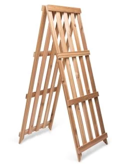 Cedar Shrub Guard -Garden Sales 8609071 5061